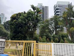 paterson-hill photo thumbnail #1